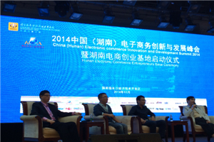 2014中国（湖南）电商创新与发展峰会